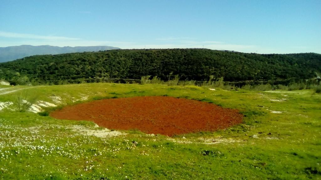 Apartamento O Casa Rural Roquemar Guijo de Granadilla Екстер'єр фото